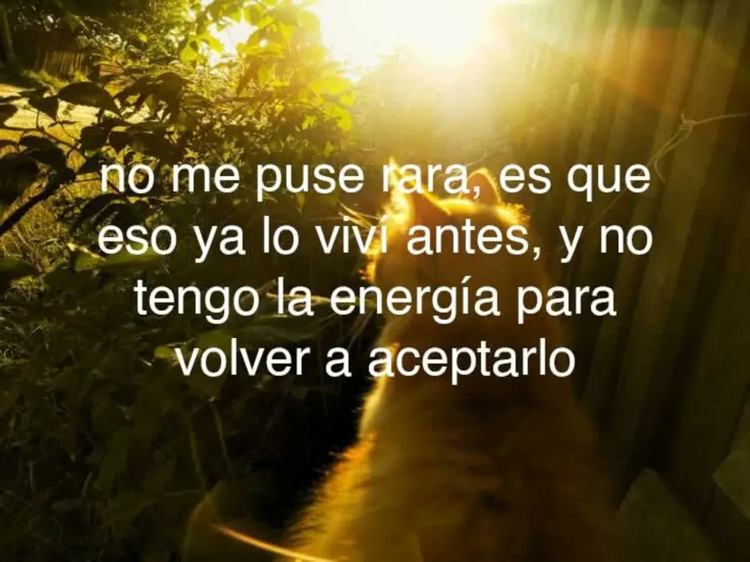 ojoscol0rsol's tweet photo. https://t.co/BfVXKorMX3