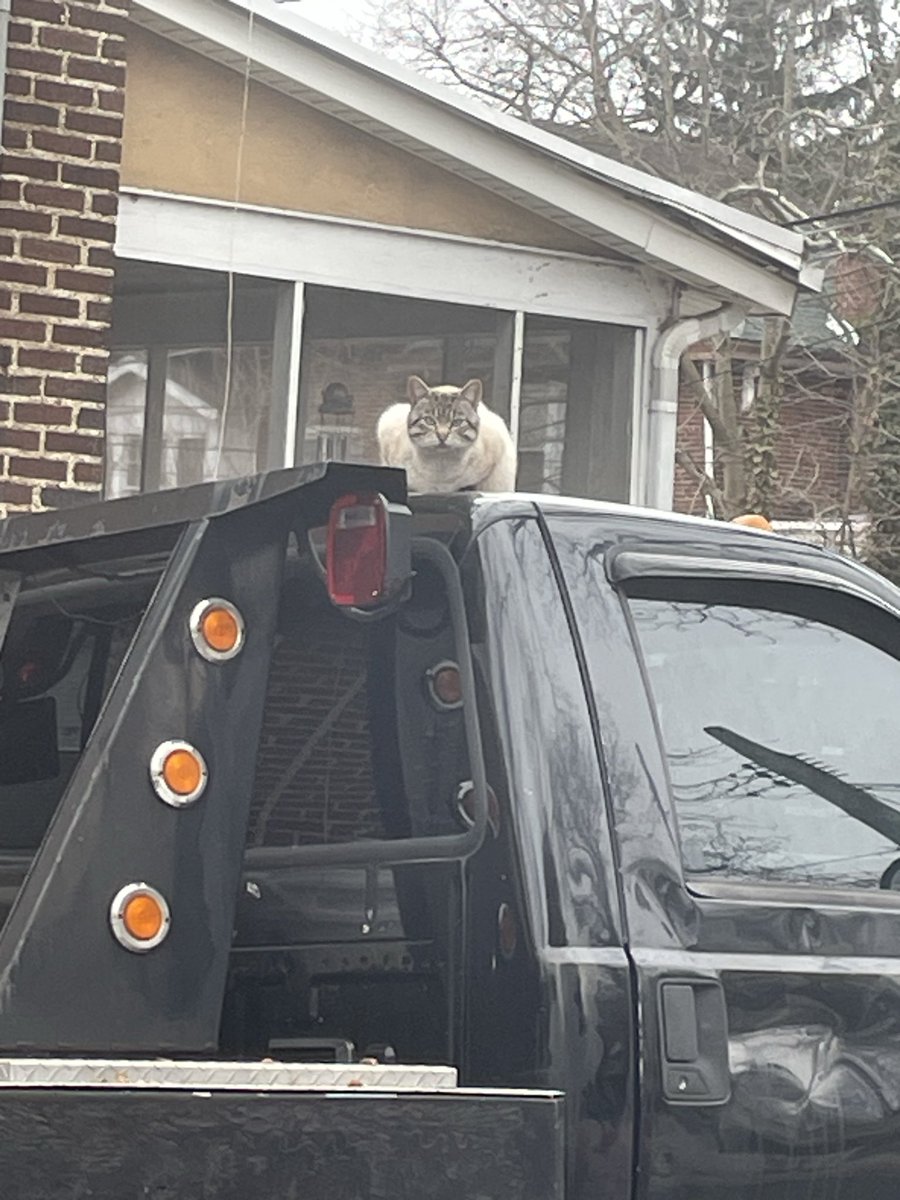 Queen of da Roses❤️🌹 tweet media