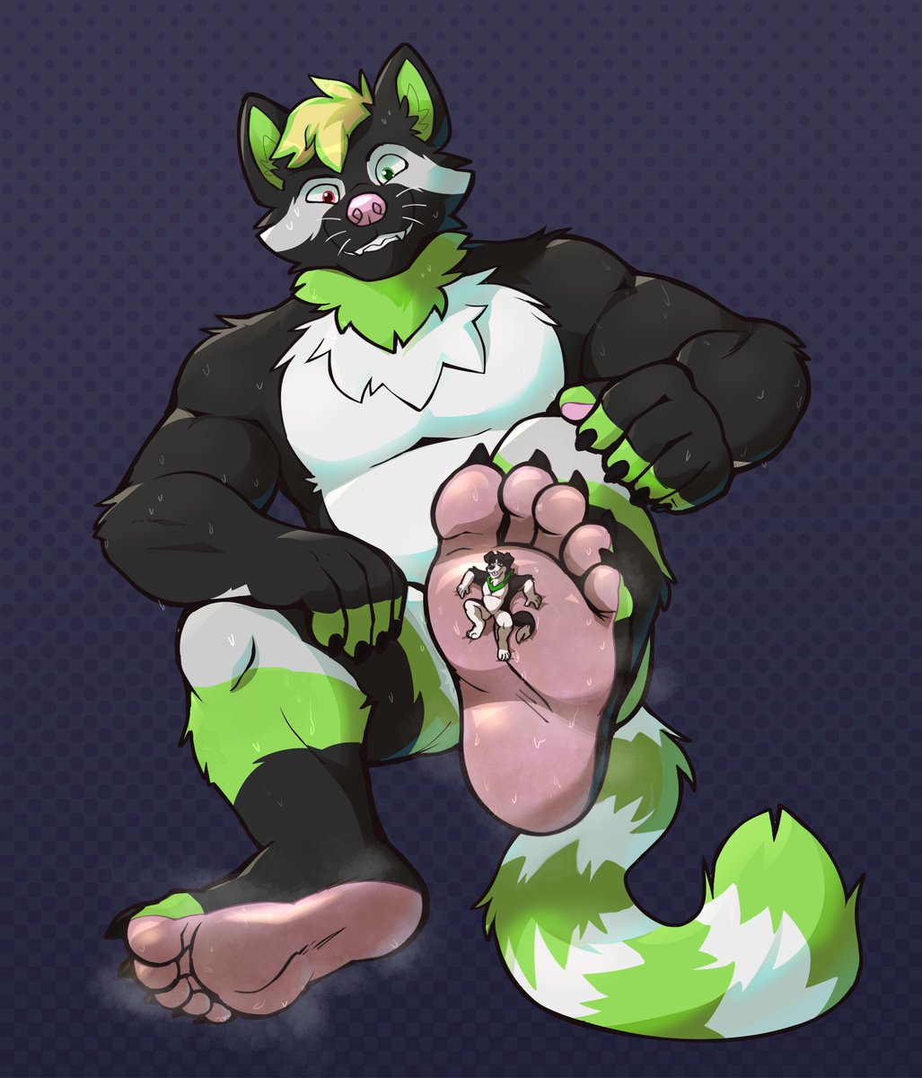 What you looking at nerd? ~

feat. <a href="/NaughtyBCollie/">Riley Collie</a>