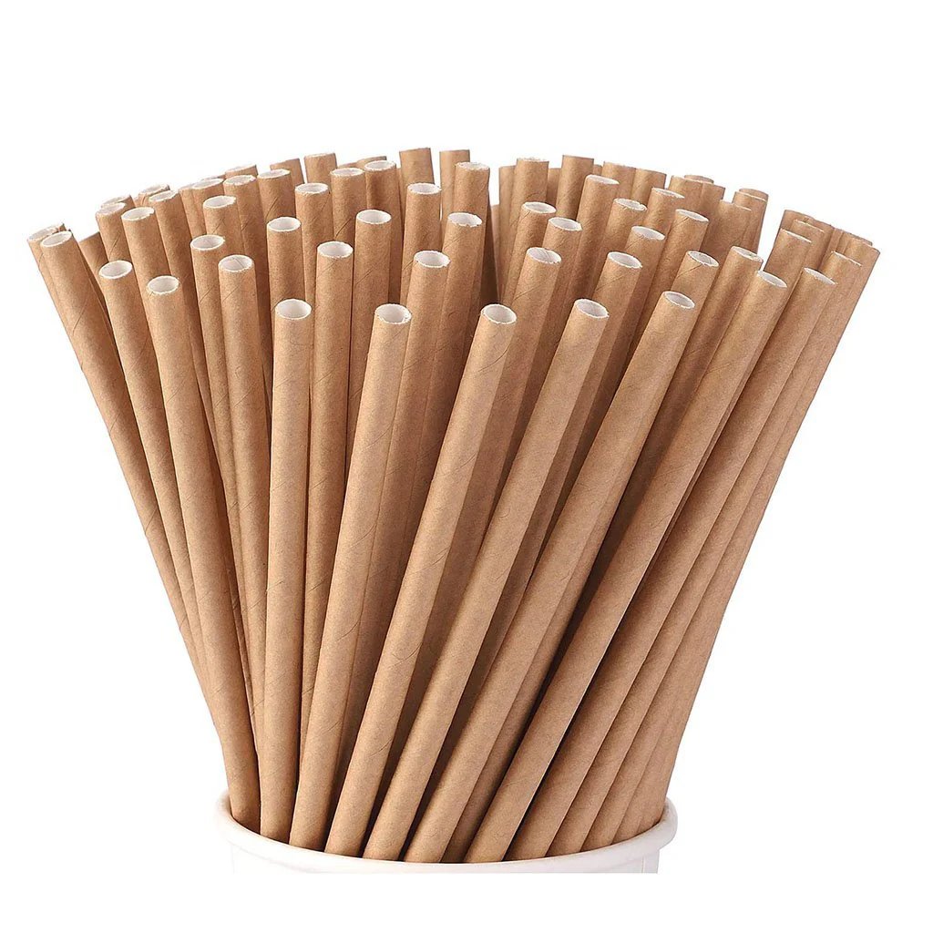 sunnydecree's tweet photo. EU 🇪🇺 leaders banned plastic straws so we can save the planet with paper ones.

Problem solved. https://t.co/mMwOpwT1ZW