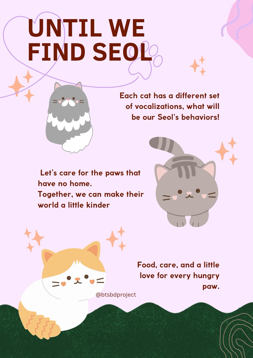 btsbdproject's tweet photo. DEAR ARMY,

Project 1🍊
Here's some of our project to celebrate Yoongi's Birthday. Yoongi wished to adopt two cats and name them Seol and Tang.
In the end, he was able to find Tang, but Seol wasn't found.

We don’t know where Seol is today, but the love meant for Seol still remains.
Through this project, we want to share that love with the street animals who are still searching for food, care, and a little kindness.

It's name "Untill We Find Seol". This project is dedicated to Seol. 
because somewhere out there, a hungry little paw might be waiting for the same love. 💜🐾

Project 2🍊

What could be more beautiful than a child’s genuine smile? To bring a little joy into the challenging lives of underprivileged children, we present our initiative: “Little Tangerine.” 🍊

Through this project, we are trying to provide a meal at an orphanage, hoping to bring a small smile to those little faces.
Every smile that blooms from this small effort is our true reward. 💜

In addition, we will also support a helpless woman by providing her with Eid groceries, so she can celebrate the festival with some comfort and happiness. 💜

Thank you so much for standing with the BTS BD Project.

#btsbdproject
#littletangerine 🍊
#untilwefindseol
HAPPY SUGA DAY
HAPPY BIRTHDAY YOONGI
#HappySUGADAY
#HappyBirthdaySUGA
#HappyBirthdayYoongi