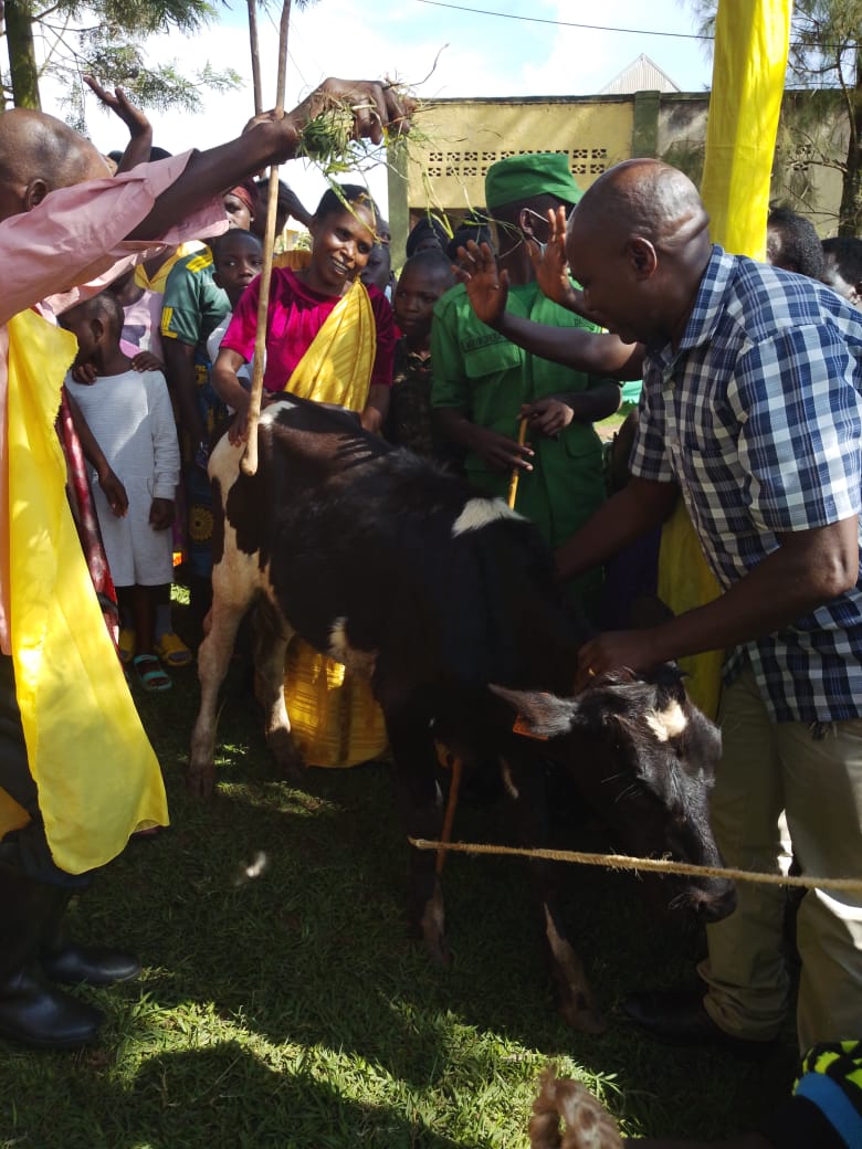 Kabare Sector/KAYONZA DISTRICT tweet media