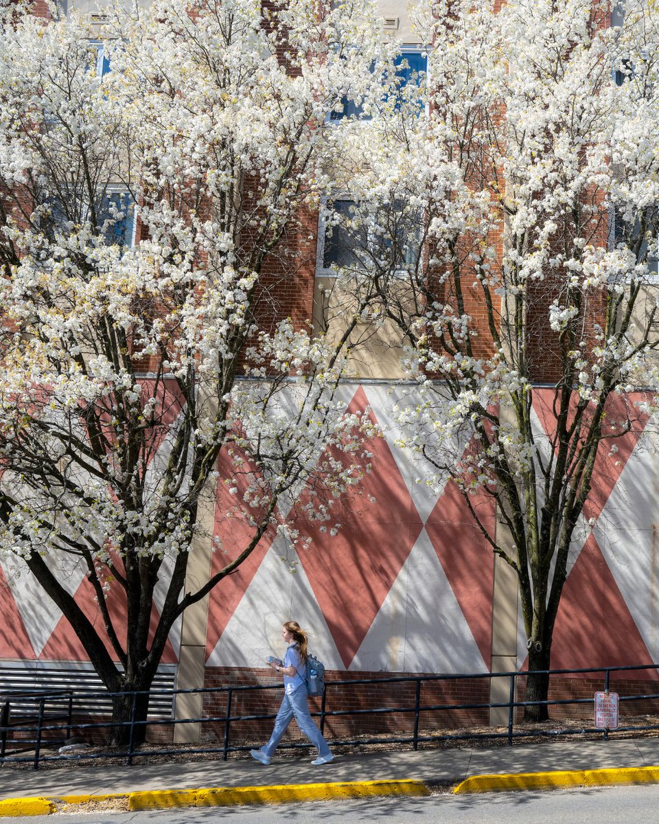 OHIO College of Health Sciences & Professions tweet media