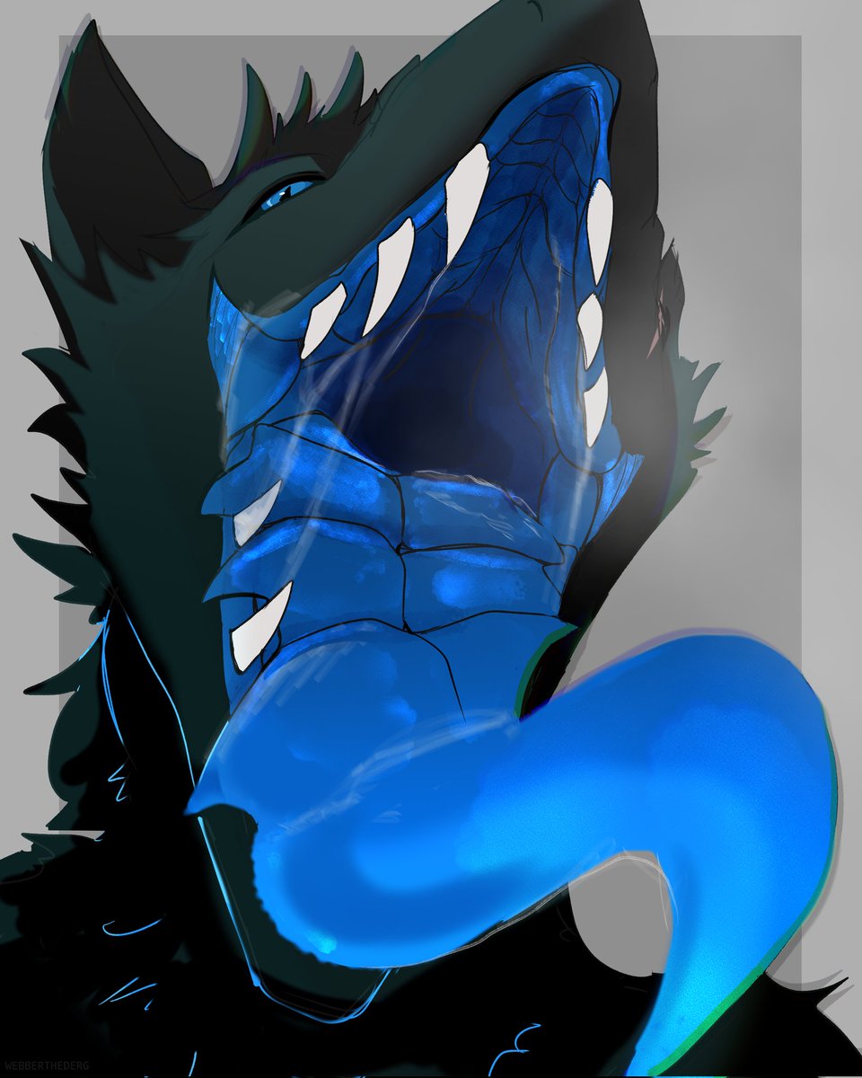 WEBBERTHEDERG tweet media