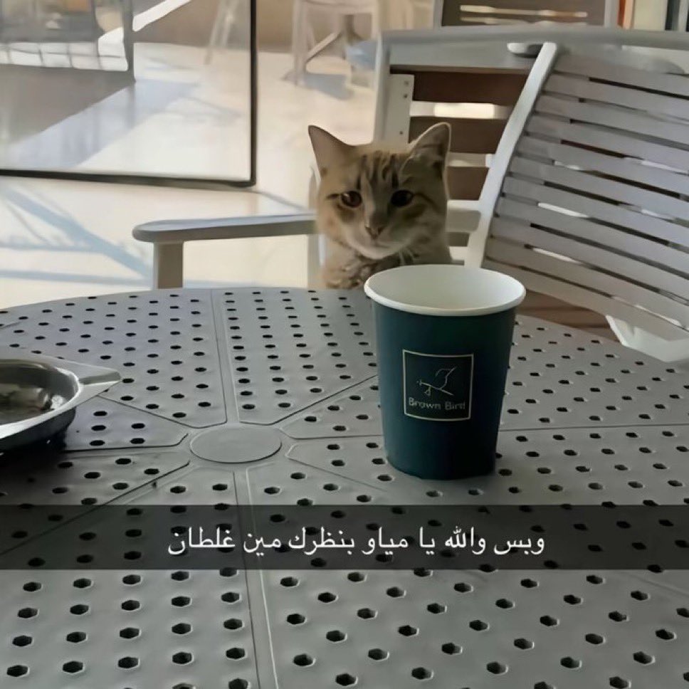 َََََ (@6lll_s) on Twitter photo 
