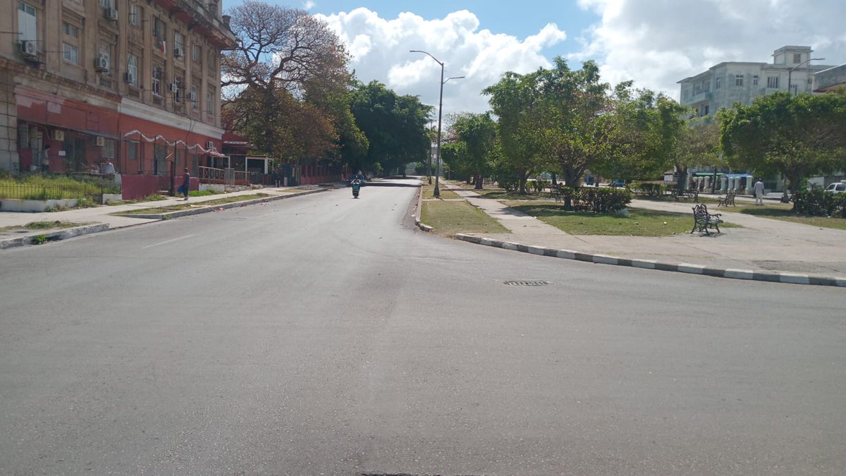 Tazmania ∴ tweet media