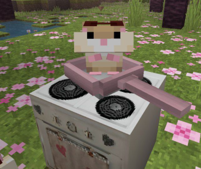 hamster (@hamsterie) on Twitter photo 