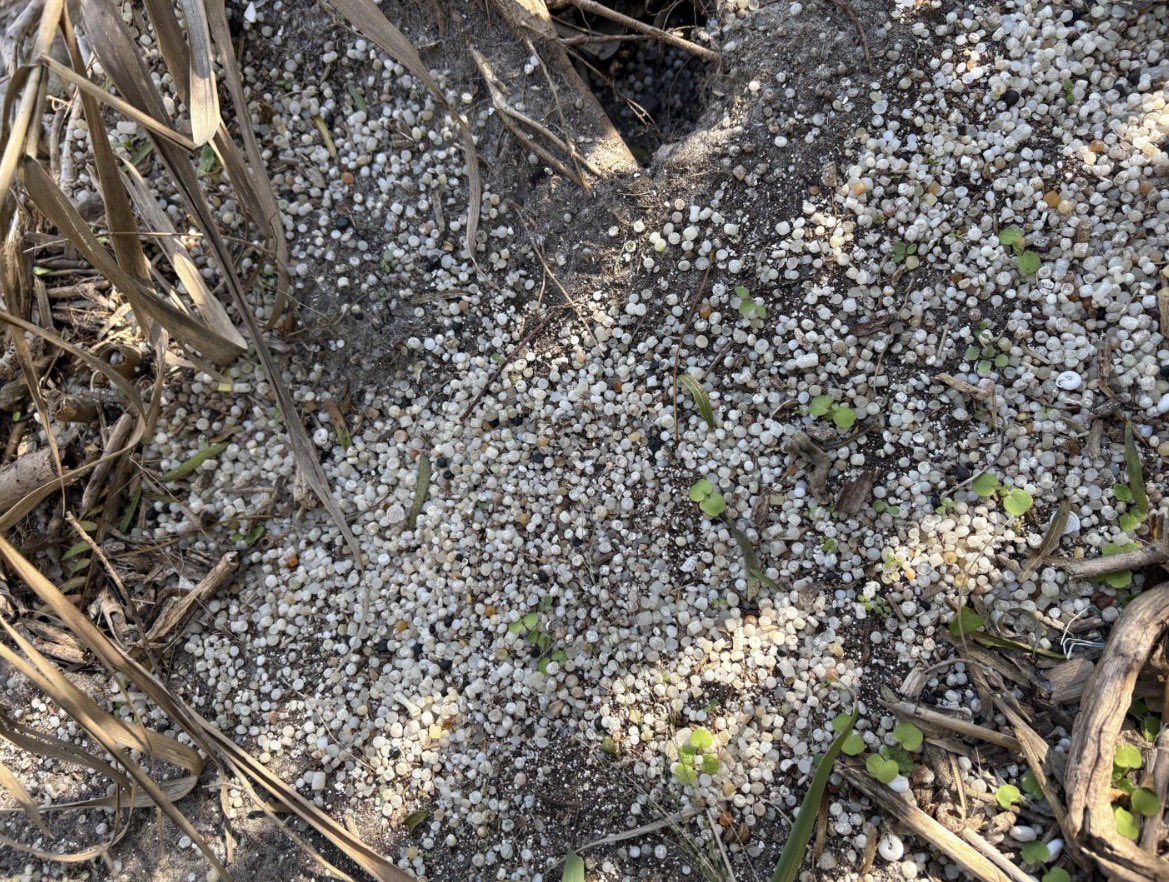 Ban Plastic Turf tweet media