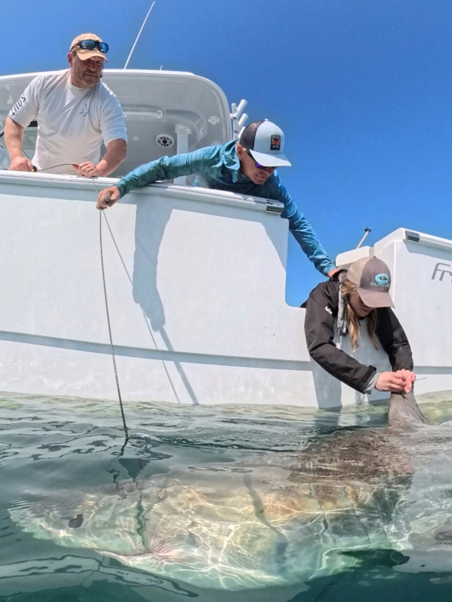 Chip Michalove tweet media