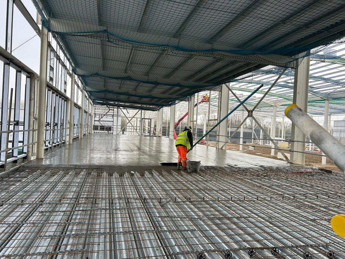 Amodeo Limited tweet media