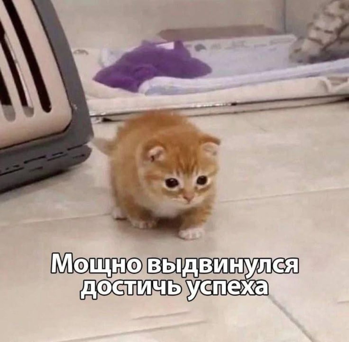 Ищу работу Data / BI Analyst
5+ лет опыта, SQL (PL/SQL, BigQuery), Python (pandas), BI (Tableau, Apache Superset)
Умею: ETL/ELT, разработка дашбордов, миграция отчётности между BI-системами, сбор требований и многое другое
📍 Ереван (UTC+4)
🗣️ ru / en / de
✉️ tg <a href="/ania_194/">Anna</a>

❤️+🔁