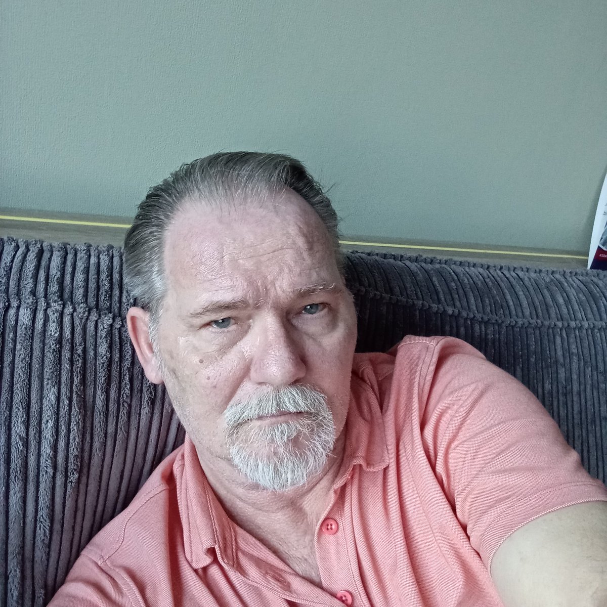 Dave 🐦 tweet media