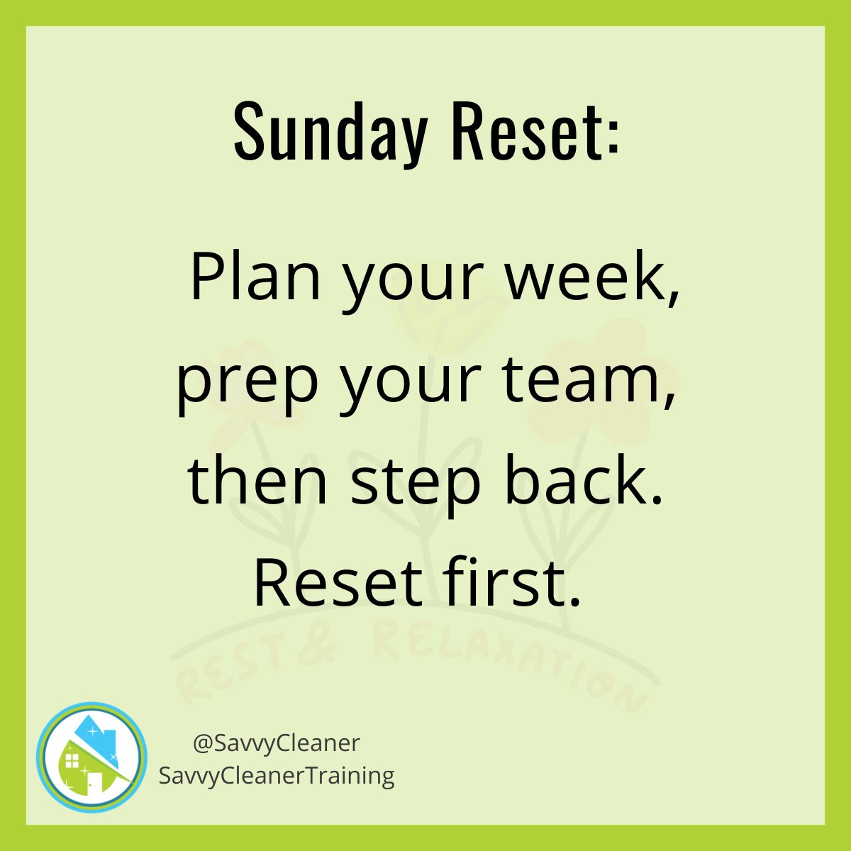 Savvy Cleaner tweet media