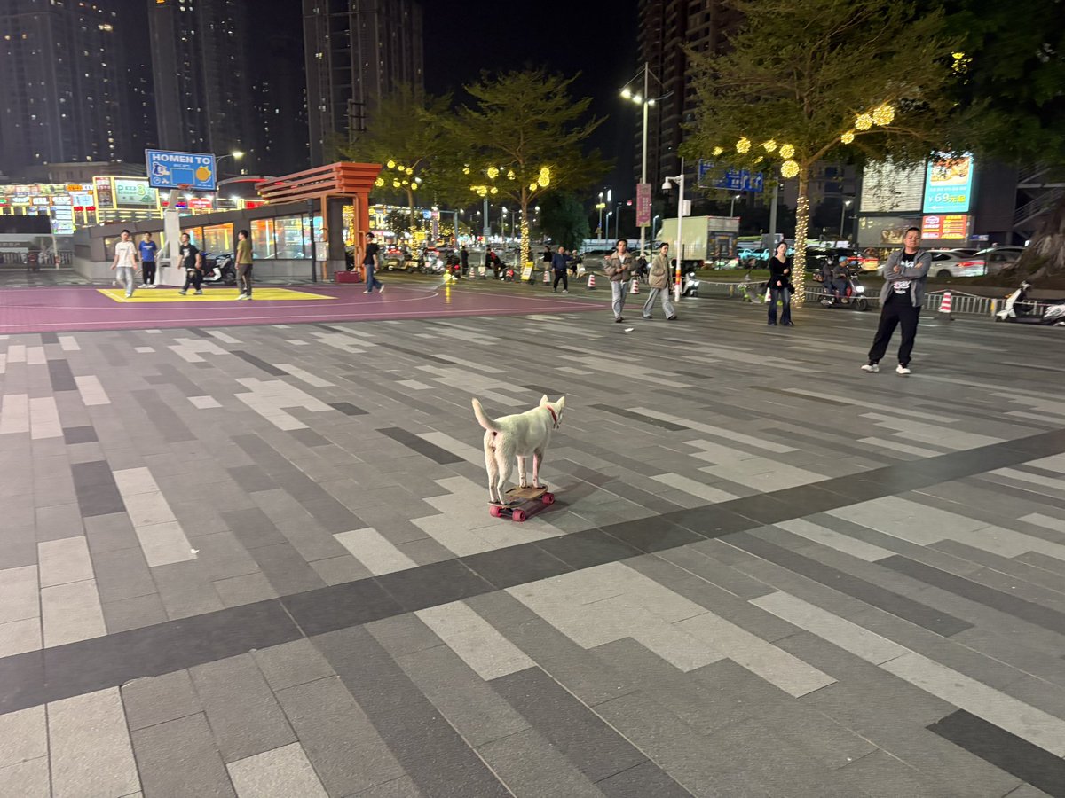 GriMJo060503's tweet photo. 书接上回，幼师妹子周五背着我去找老男人了，周六找我吐槽的时候说老男人一毛钱没给，她被老男人吃豆腐了（但是没做）不知道为啥跟她do的时候，满脑子想着都是老男人跟她do的样子🥺🥺🥺 https://t.co/zxE20qiHW5