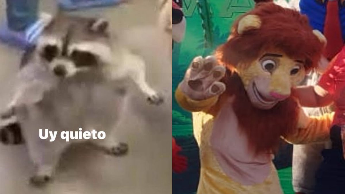 Timothy_Asher tweet media