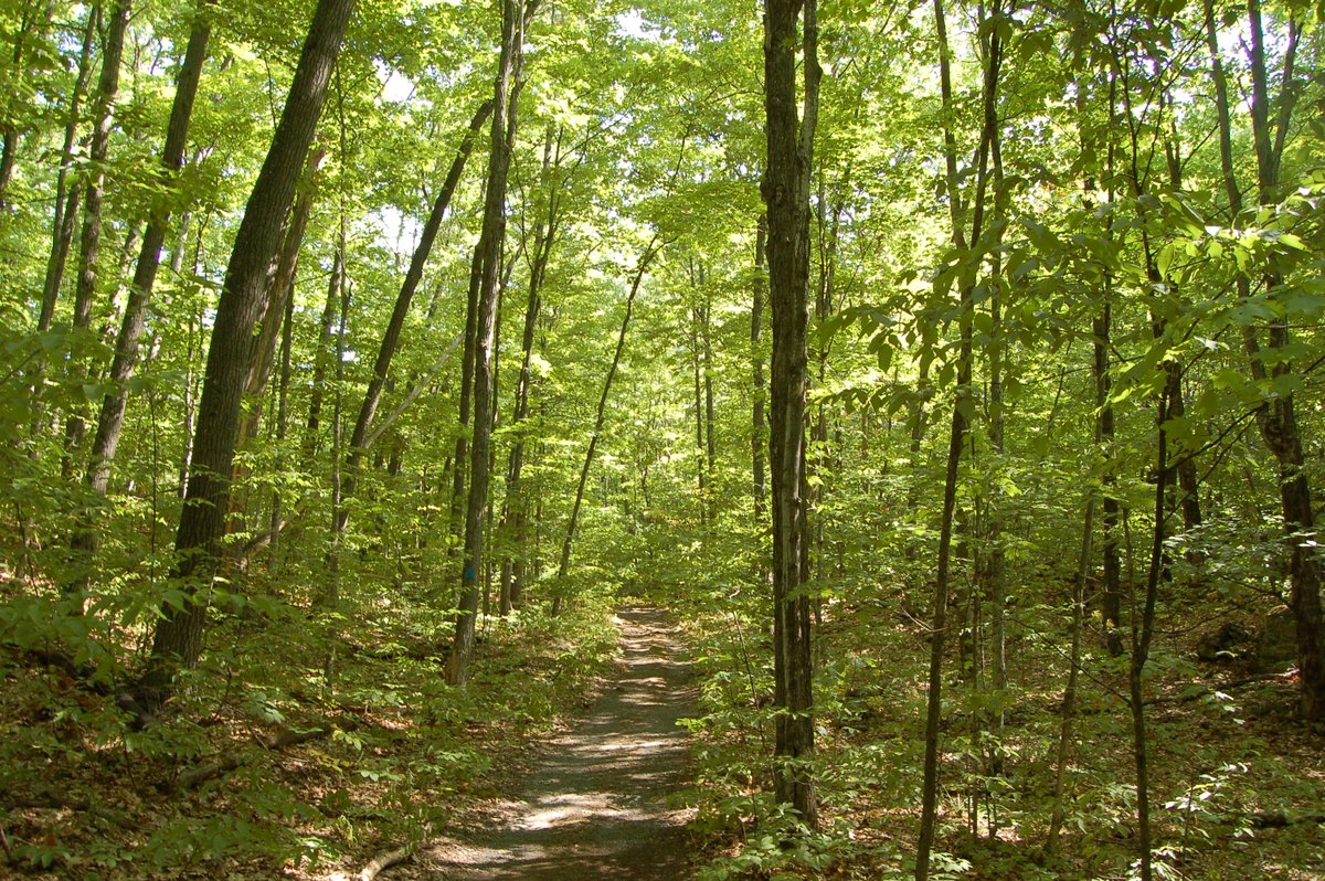 Conservation Ontario tweet media