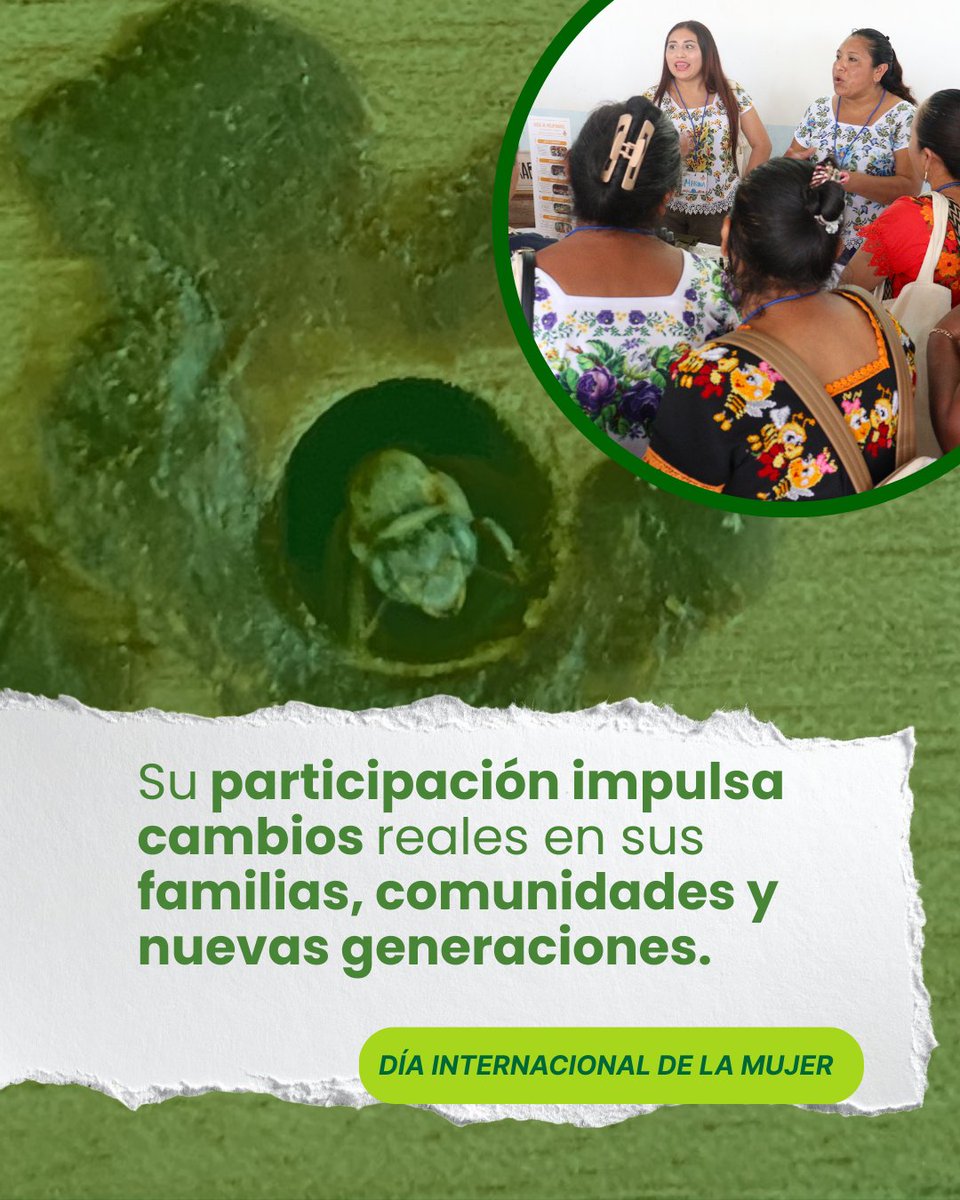 Las mujeres en el campo sostienen, transforman y generan cambio. Con su trabajo y liderazgo fortalecen a sus familias y generan cambios reales en sus comunidades. 

En Educampo trabajamos por la igualdad de oportunidades para las mujeres del campo. 
#8M #MujeresRurales