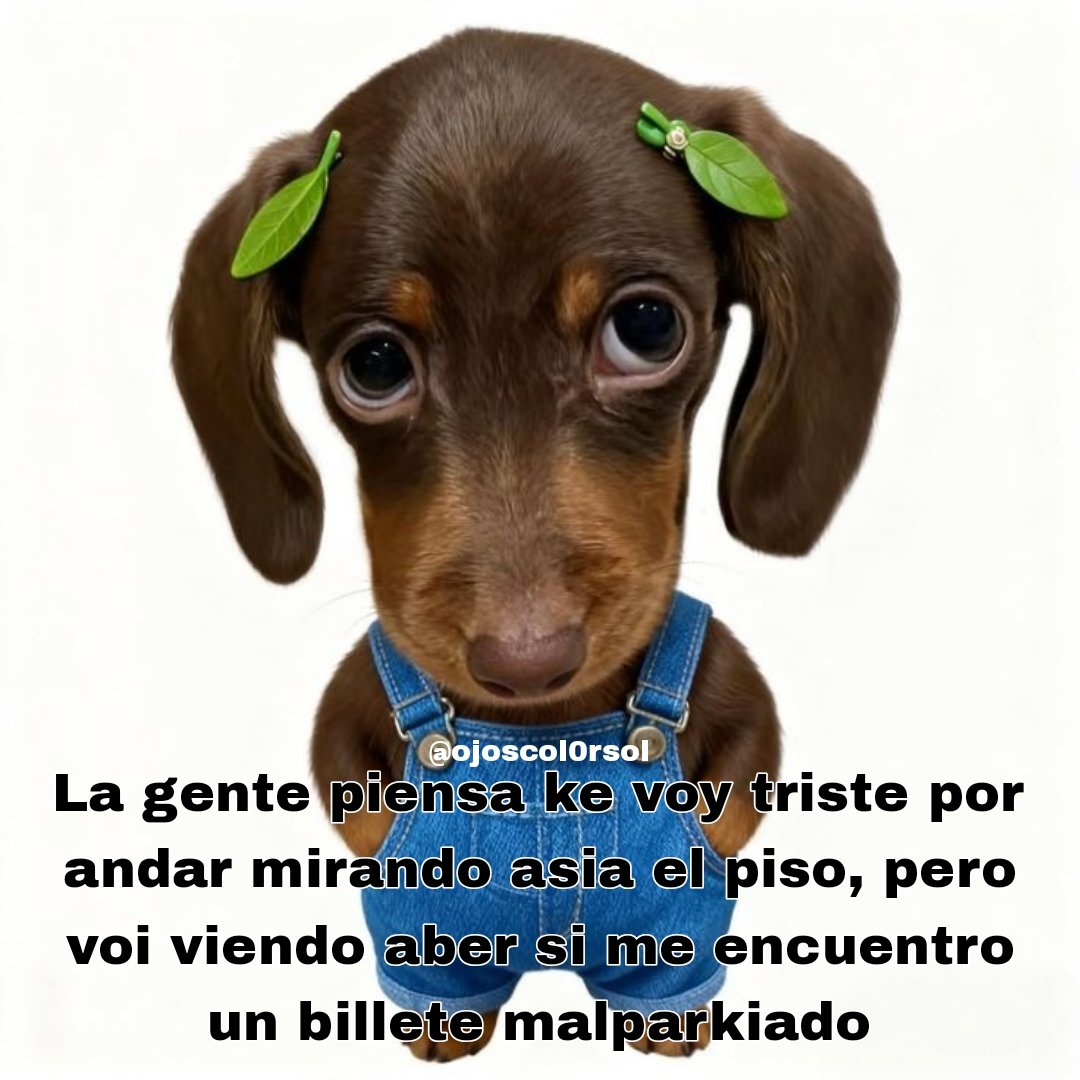 Ojos color sol (@ojoscol0rsol) on Twitter photo 