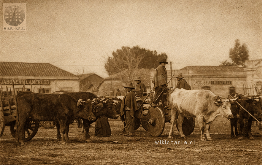 WikicharliE1's tweet photo. #wikicharlie #historiadechile #carretas Wikicharlie La Enciclopedia Virtual de Chile:  Una hermosa imagen de Carretas chilenas en el Mercado de Chillán en 1910. Mas info en: https://t.co/tCppfjvWd5 https://t.co/h1U4ohk2zj