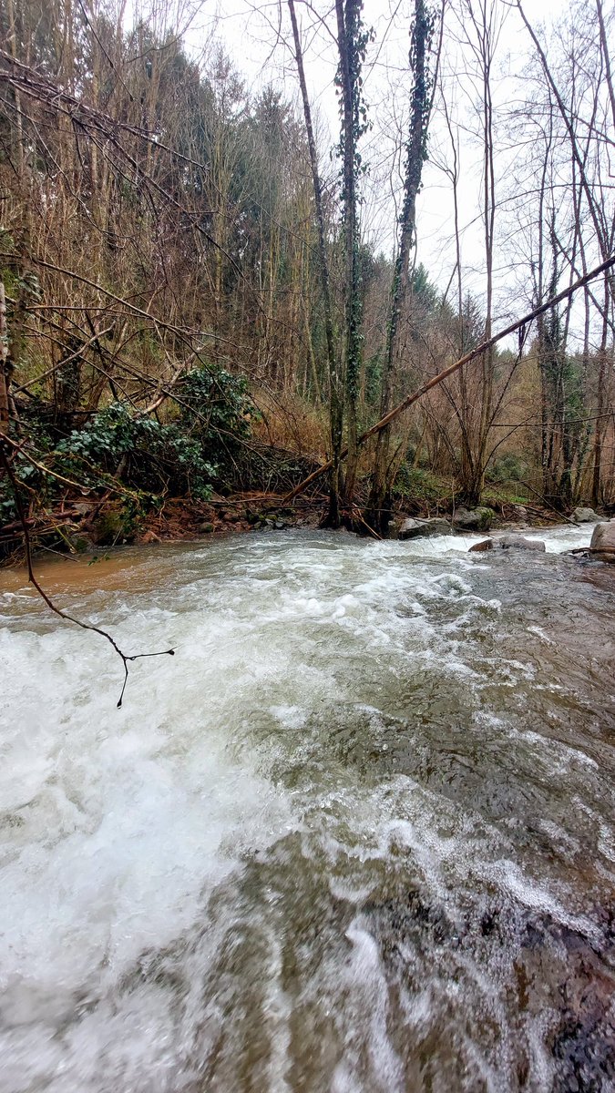 NASARoures's tweet photo. Voltants de Viladrau
#Viladrau 
#Osona
#torrentdecollpregón https://t.co/olq7DOjqJX