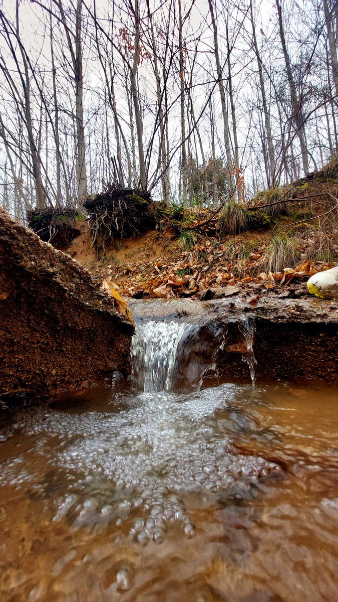 NASARoures's tweet photo. Voltants de Viladrau
#Viladrau 
#Osona
#torrentdecollpregón https://t.co/olq7DOjqJX