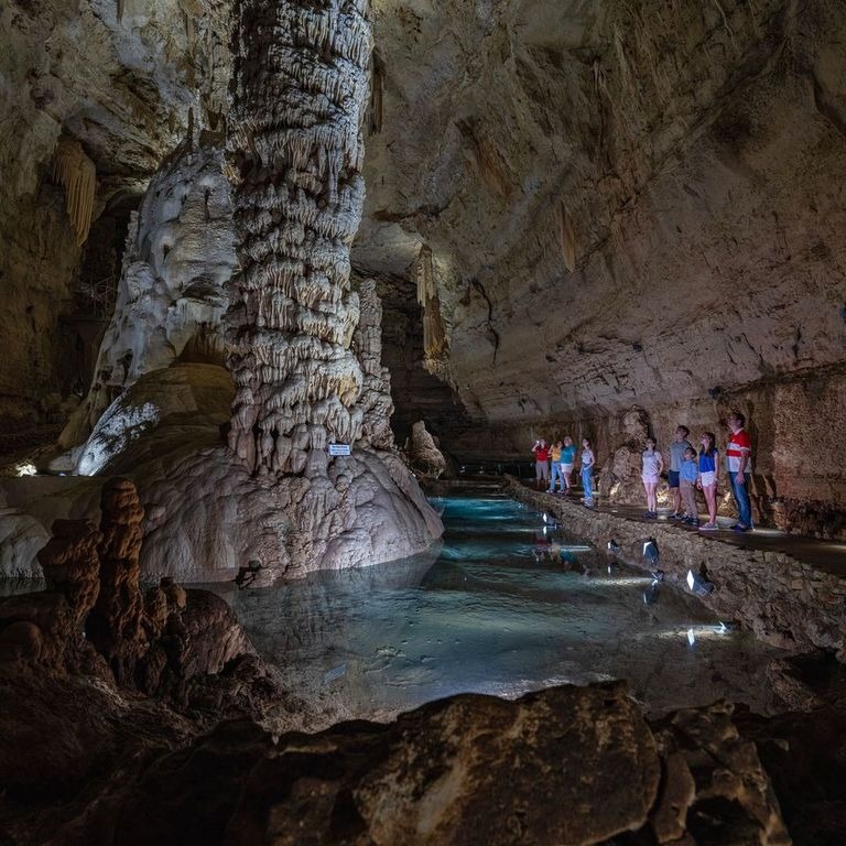 Visit NBTX tweet media