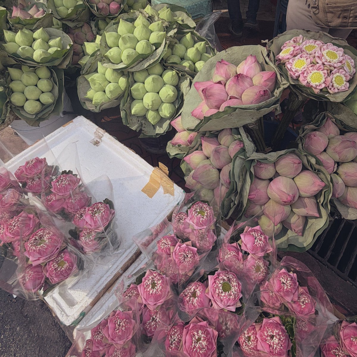 เมเม🧸: tweet media