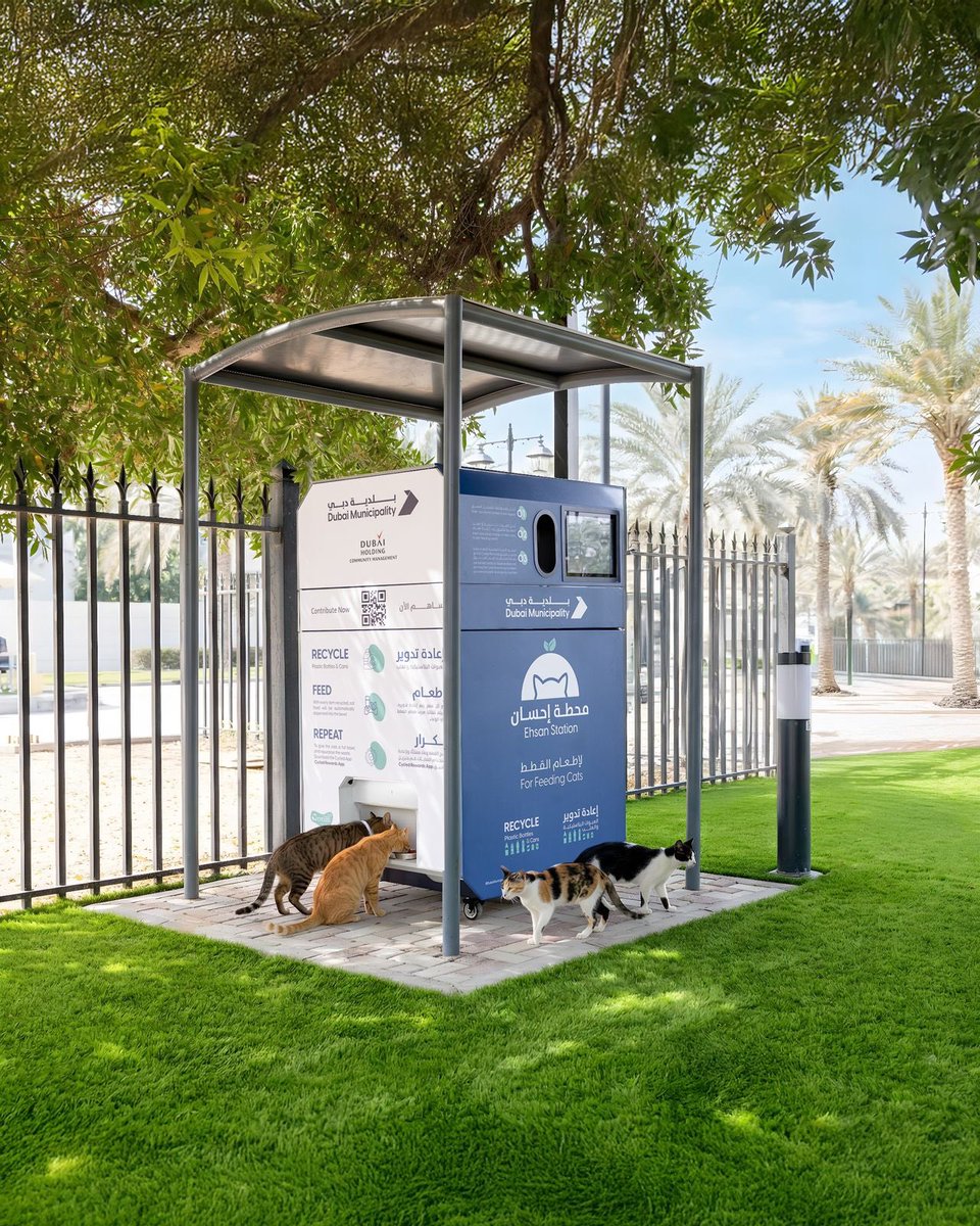 Finally, finally! Long time coming but finally here. <a href="/DMunicipality/">بلدية دبي | Dubai Municipality</a> has at last started setting up feed stations for strays. 

Just praying people don’t start abandoning pets more than ever 🥺

And thanks to rescuers who have been doing this for years