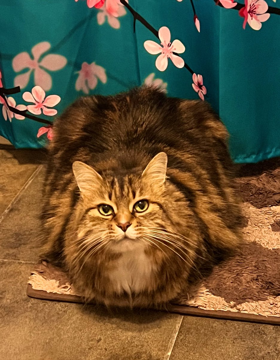 miranda ❤️‍🔥 tweet media