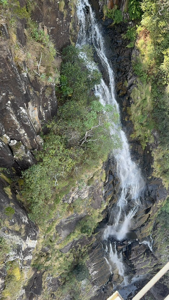 What an incredible destination!! The Eastern Highlands is a must visit destination in Zimbabwe.
Adrenaline seekers, this one is for you.
Mutarazi falls skywalk and zipline .
#experiencezimbabwe #skywalk #zipline #travelphotography #breathtaking #views #scenery