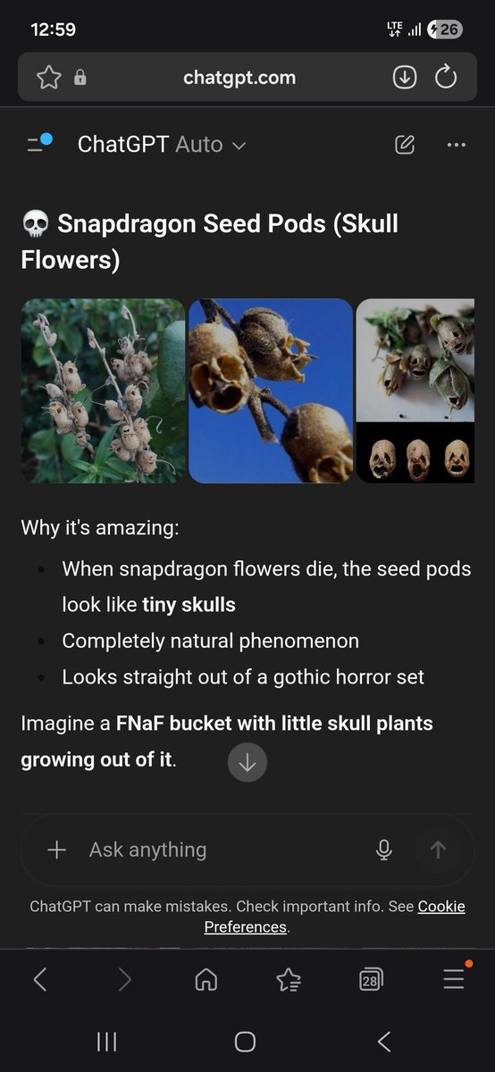 Crow Chaser (Twitch Streamer & youtuber) tweet media