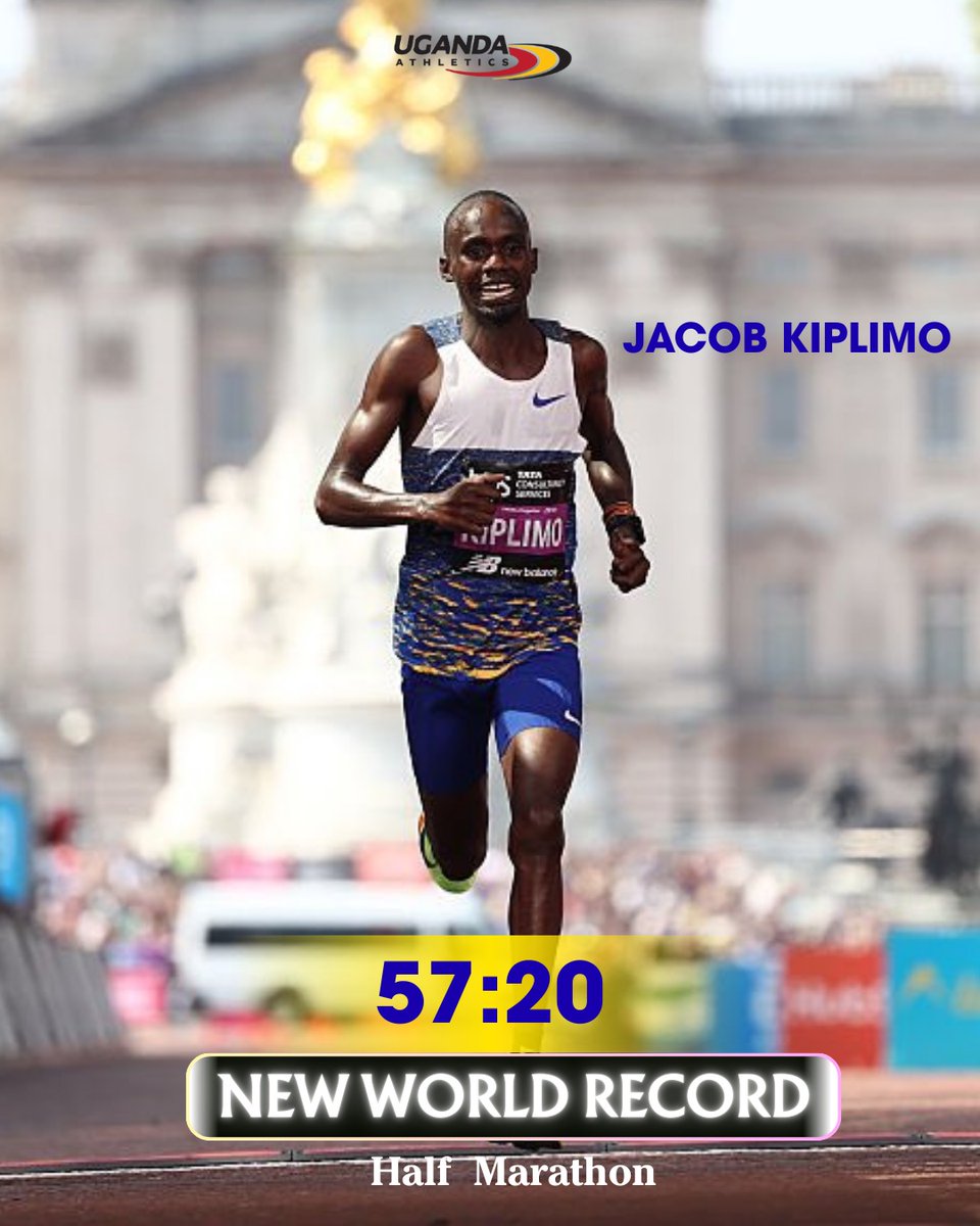 Hashaka Alex tweet media