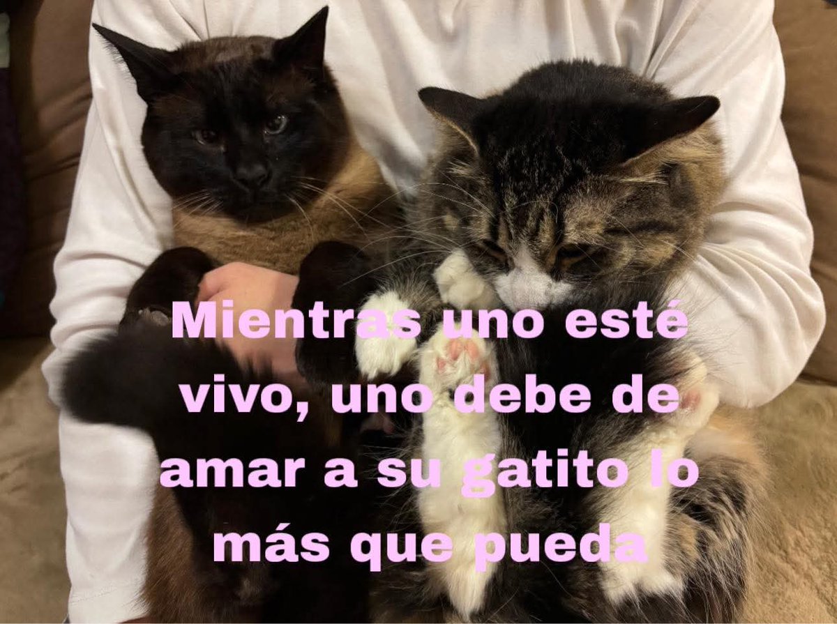 Ojos color sol (@ojoscol0rsol) on Twitter photo 