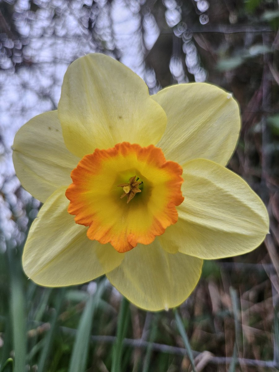 Hadyn Jones tweet media