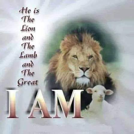 Long Snappers Are People Too tweet media