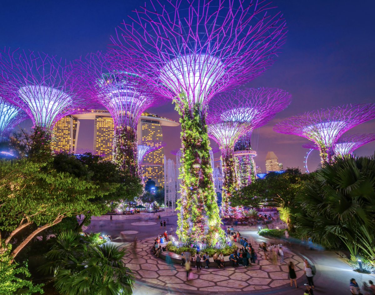 The Bitcoin Historian tweet media