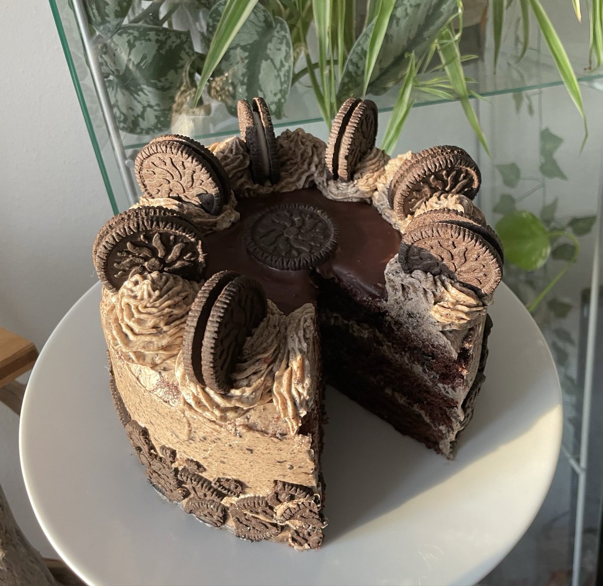 Mayu ✨ tweet media