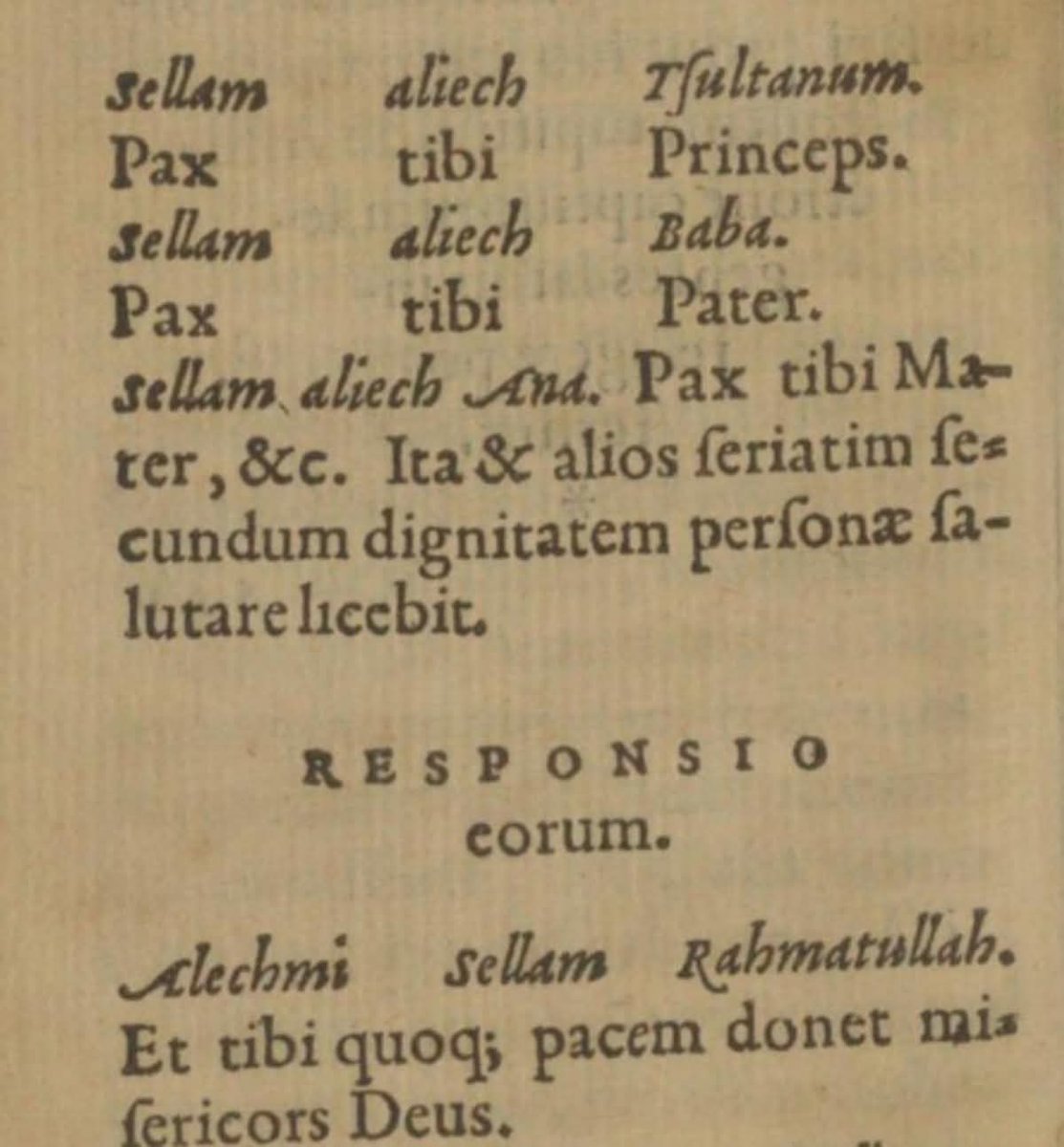 Türkçe'nin Latin harfleriyle ilk kez yazıldığı tarihin 1928 olduğunu sanıyorsunuz, değil mi? Peki ya bunun yaklaşık 400 yıl önce gerçekleştiğini söylesek?

1526'daki Mohaç Muharebesi'nde Osmanlı'ya esir düşen Bartholomeo Georgieuiz, 11 yıl boyunca Osmanlı topraklarında kaldı. Bu