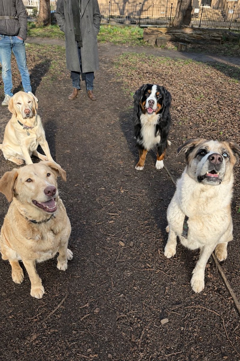 JackTheLab tweet media