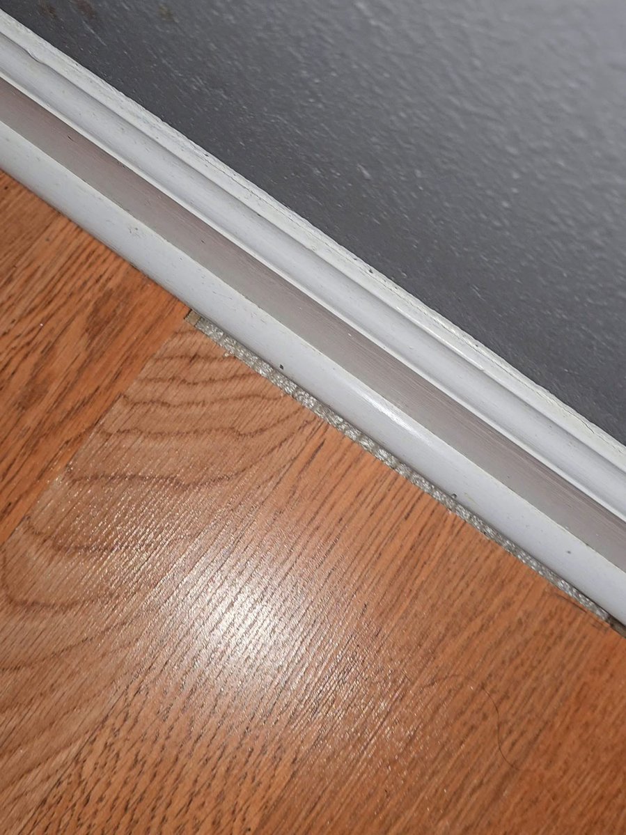 Mr PitBull tweet media