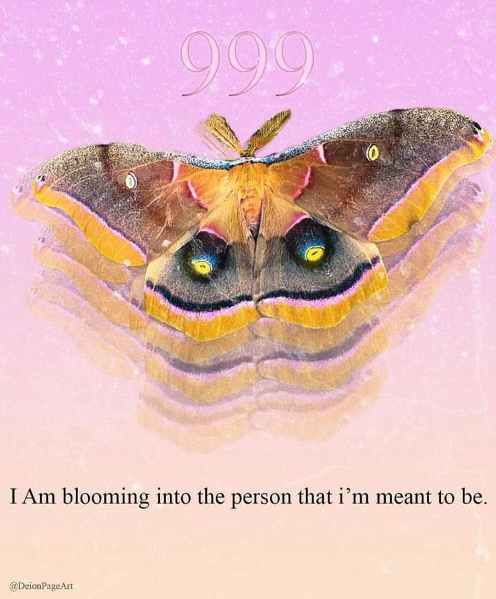 Manifest Your Higher Self💫 tweet media