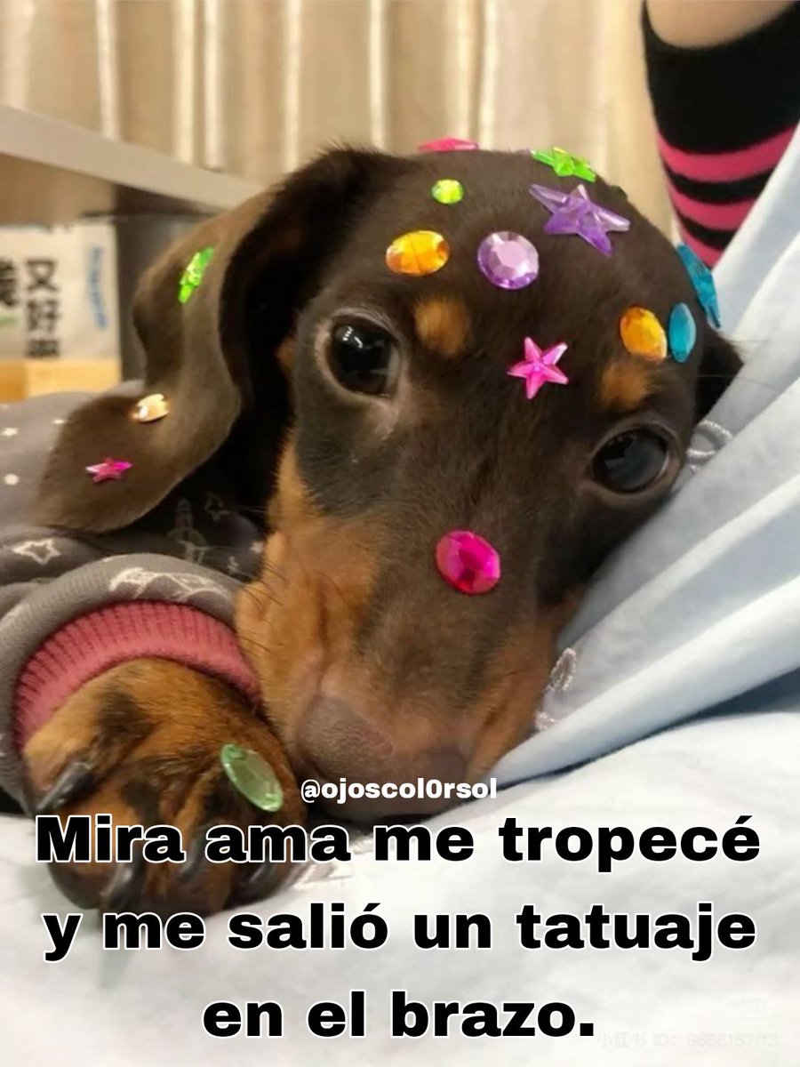 Ojos color sol (@ojoscol0rsol) on Twitter photo 