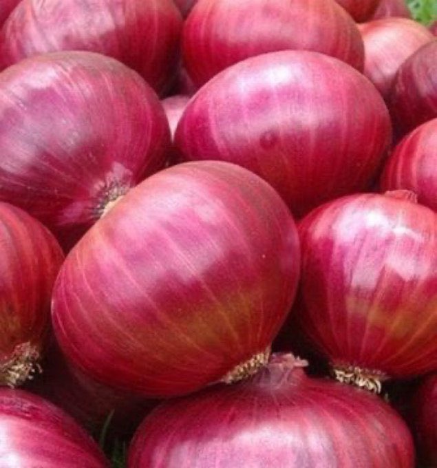 جواهر tweet media