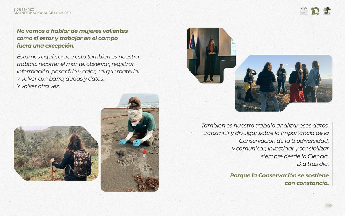 DIRUS Sociedad Científica tweet media