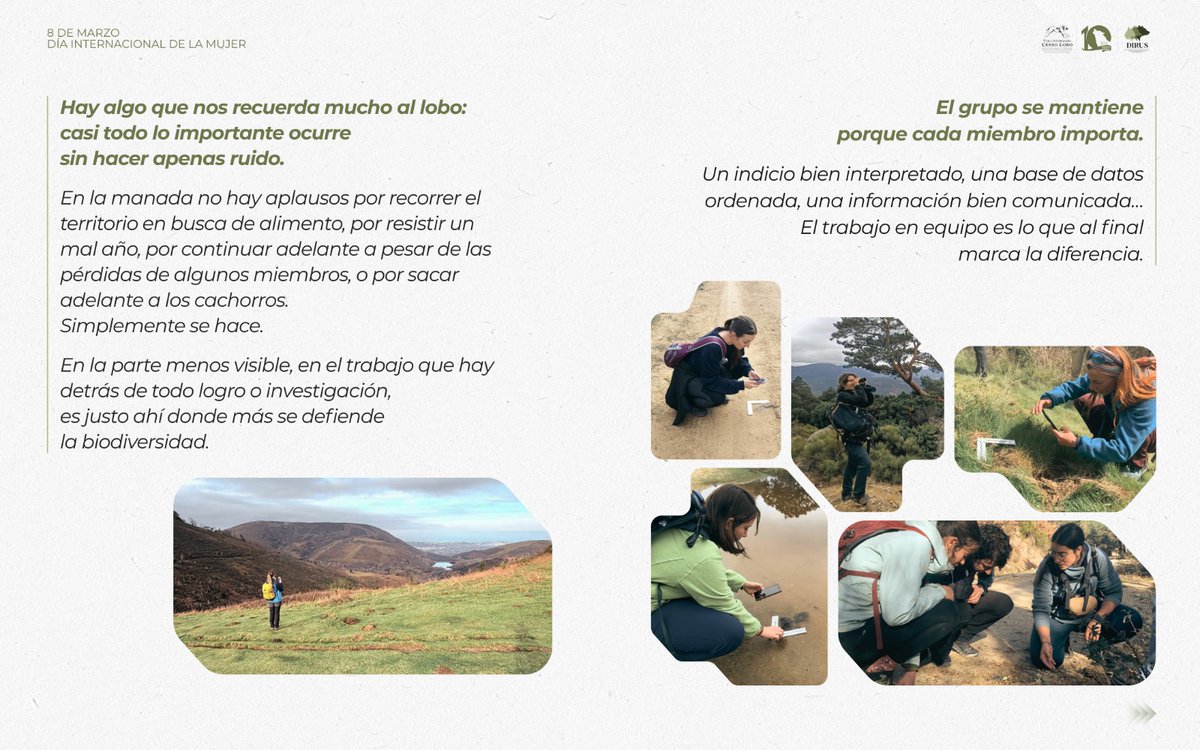 DIRUS Sociedad Científica tweet media