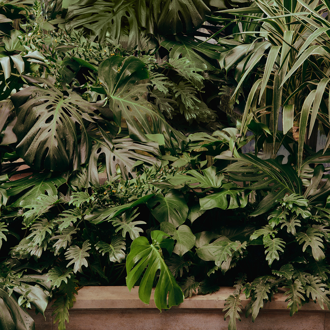 OUTLET LERMA tweet media