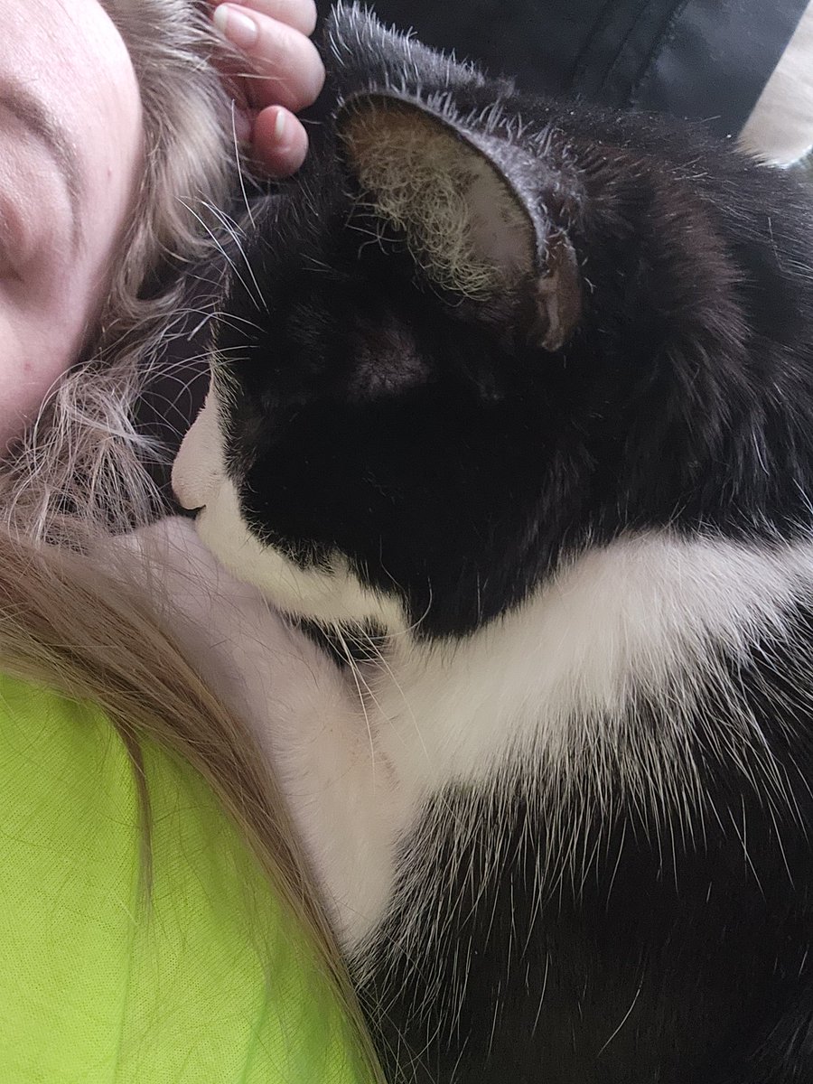 Alchamee | 2.0 Debut Incoming! tweet media