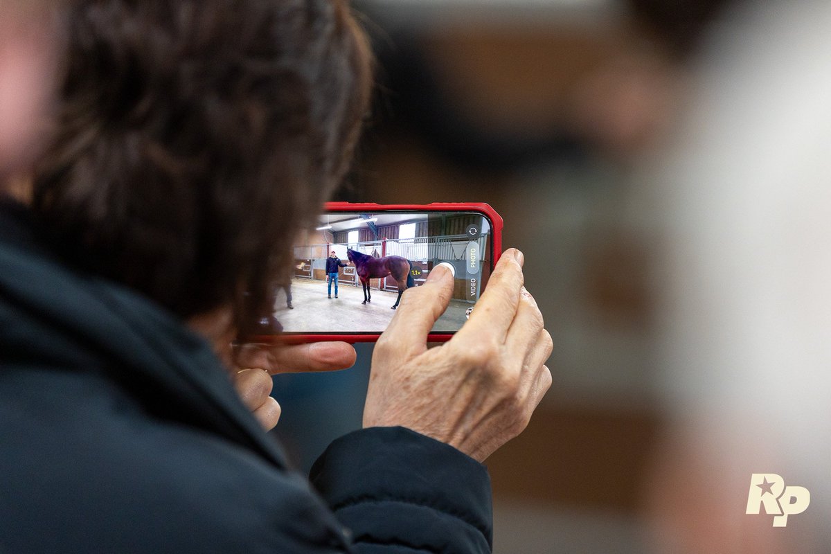 Tim Easterby Reality Partners tweet media