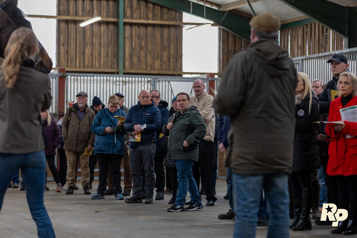 Tim Easterby Reality Partners tweet media