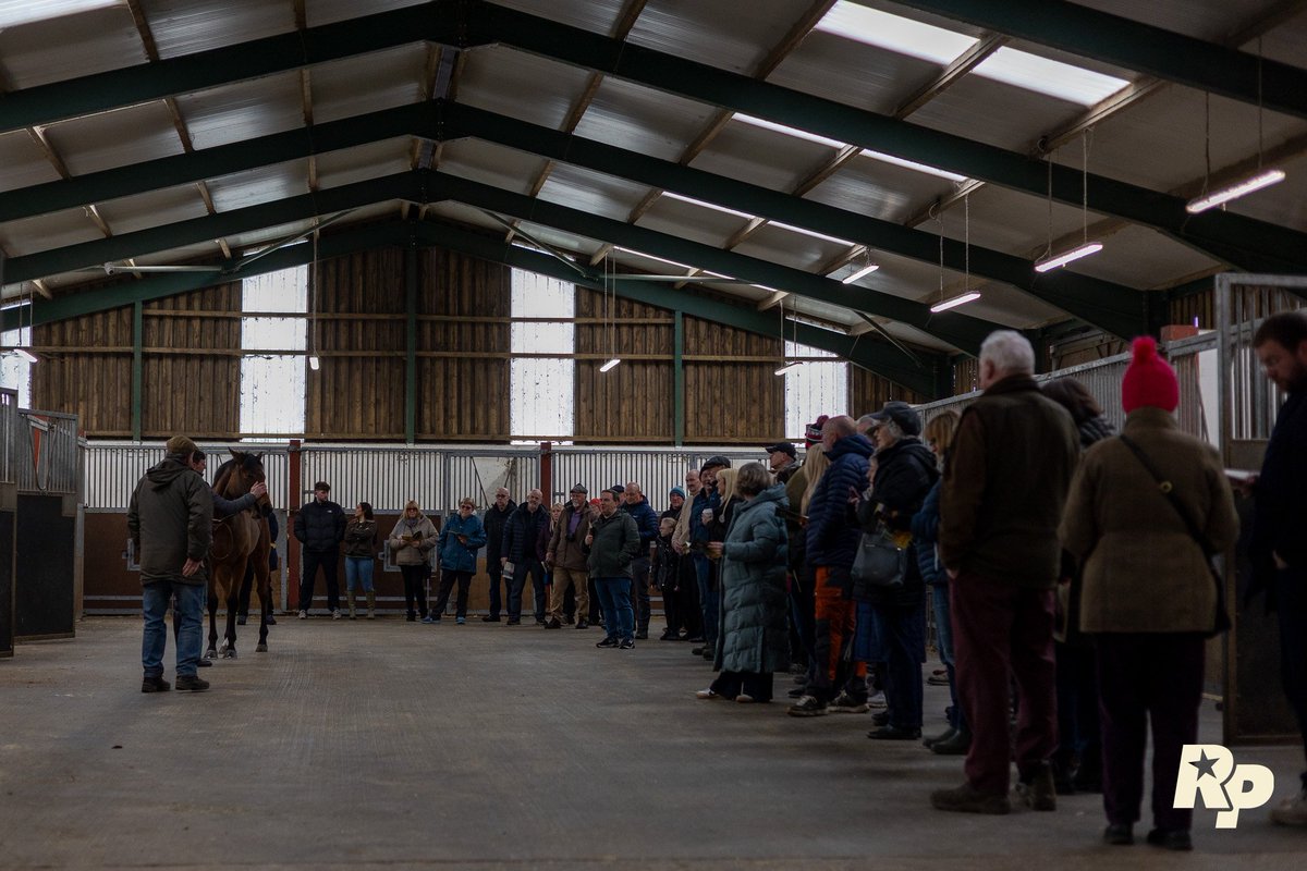 Tim Easterby Reality Partners tweet media